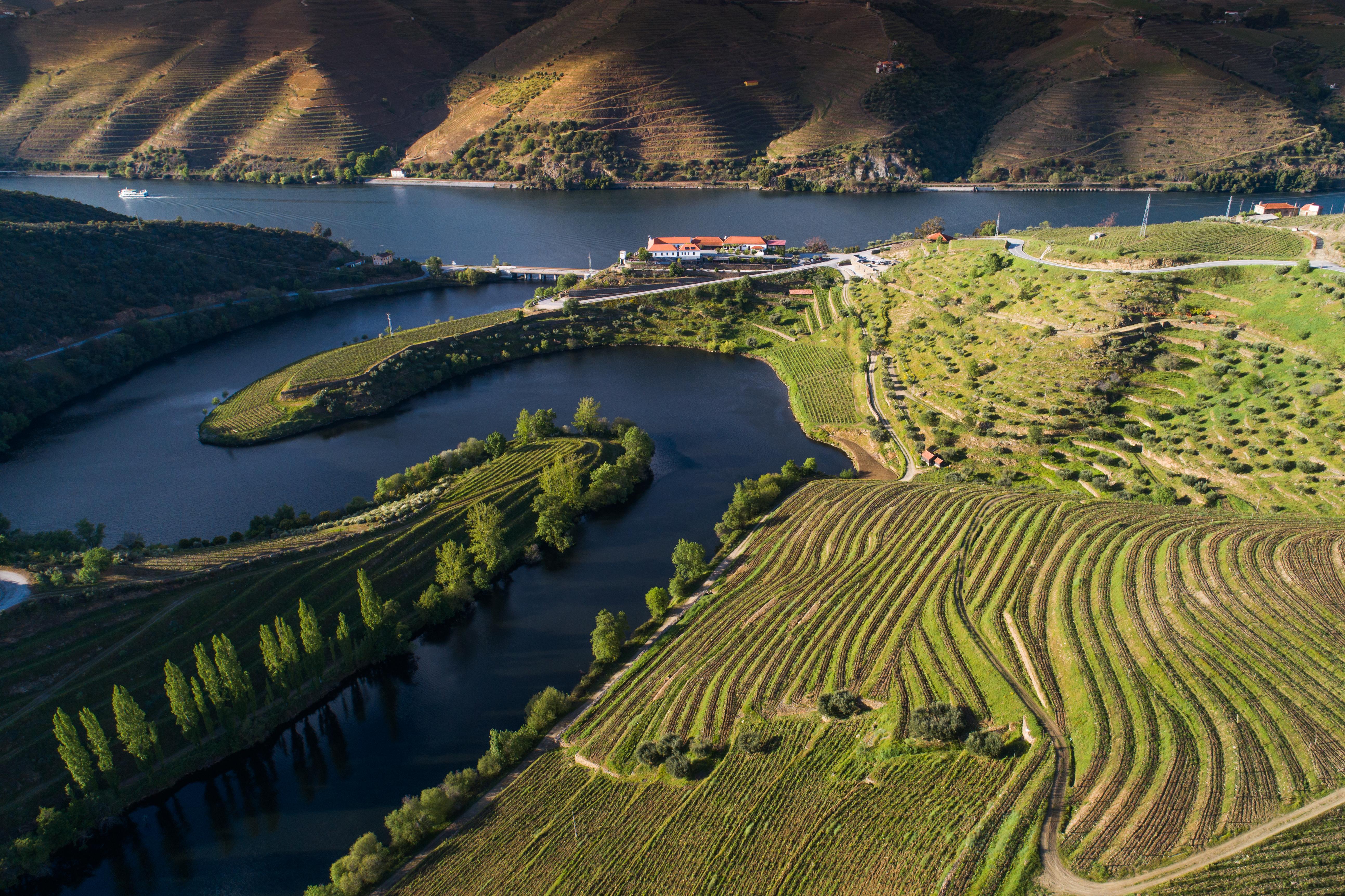 Vila Gale Douro Vineyards Armamar Kültér fotó