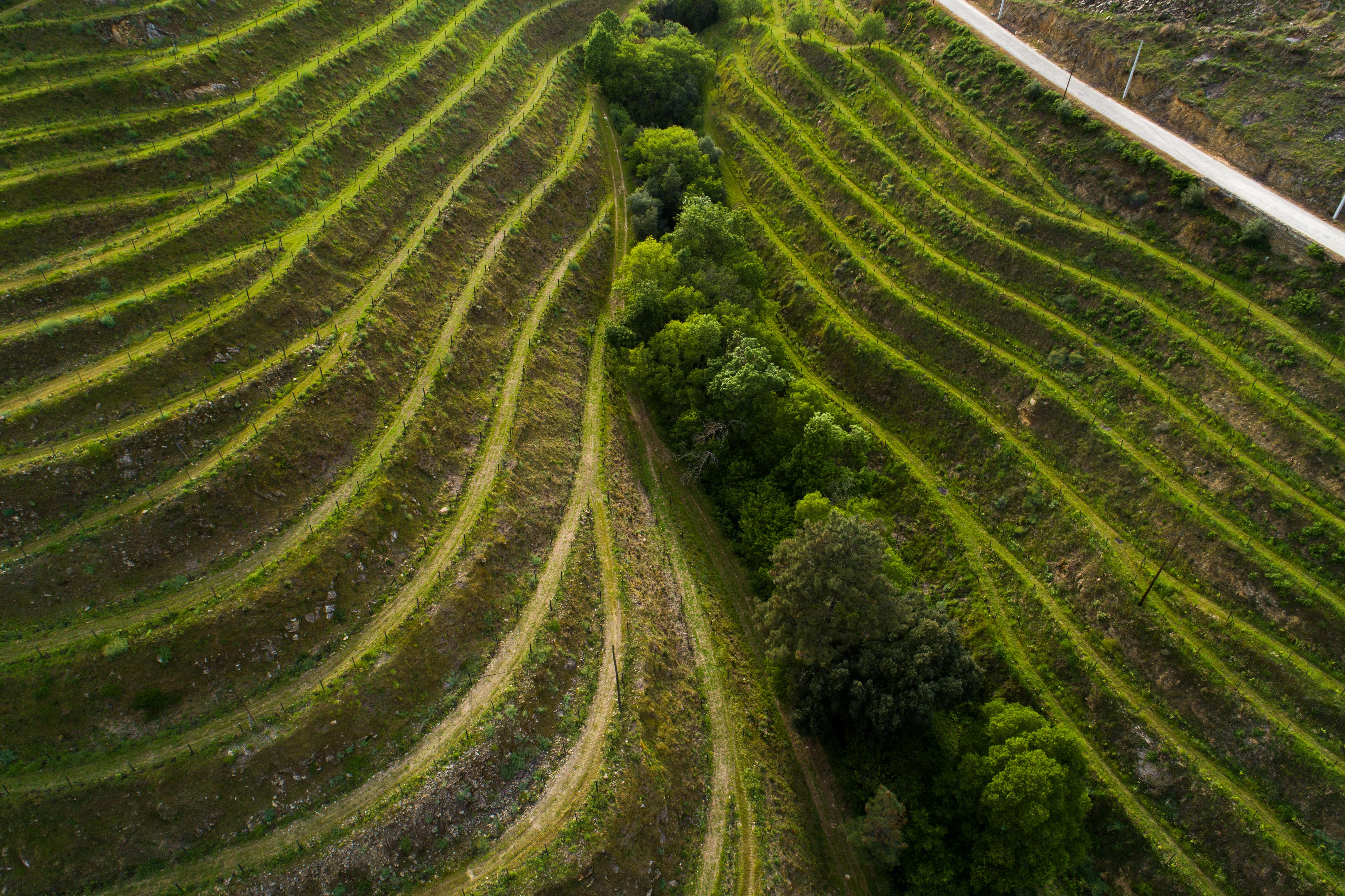 Vila Gale Douro Vineyards Armamar Kültér fotó